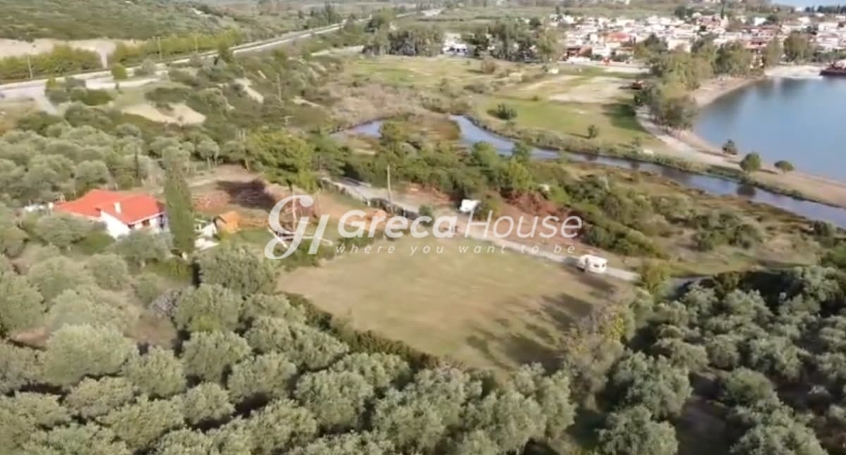 Beachfront Plot for Sale, 2,200 sq.m. in Achladi – 43m Frontage, Building Permit - Photo 4