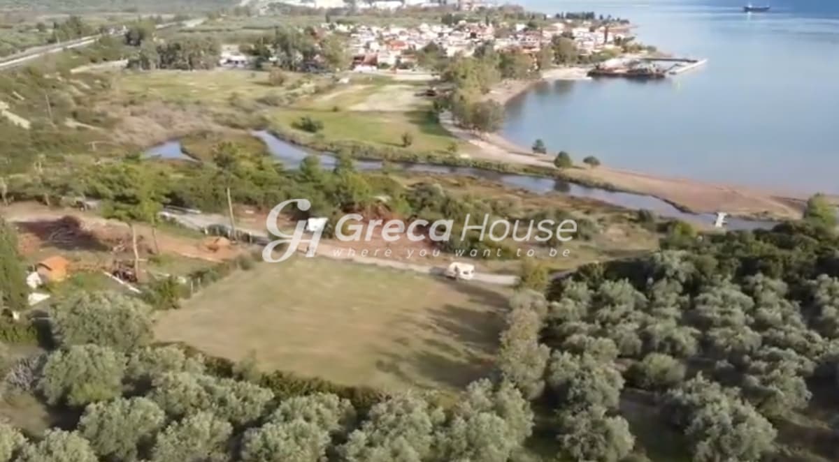 Beachfront Plot for Sale, 2,200 sq.m. in Achladi – 43m Frontage, Building Permit - Photo 12