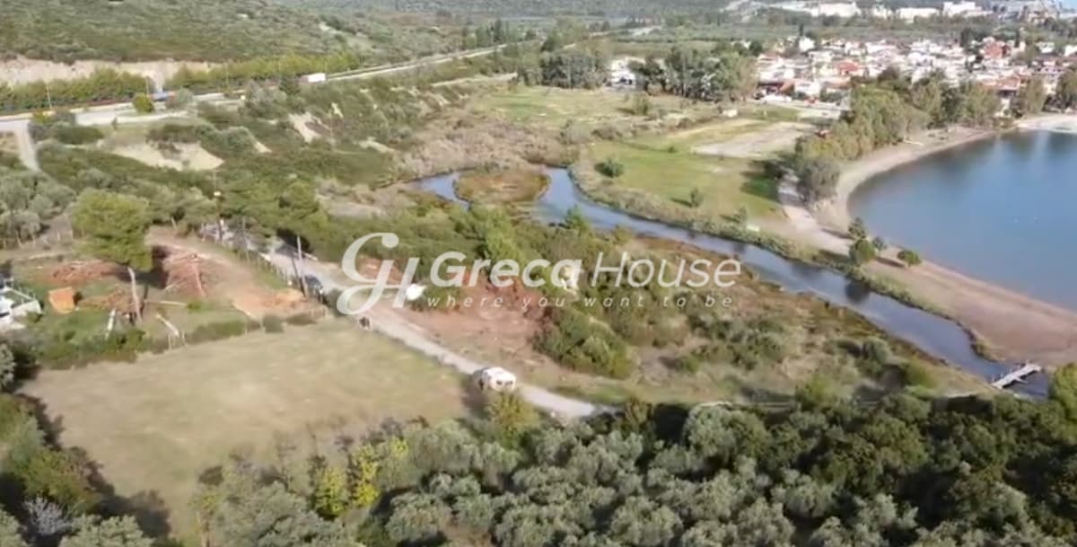 Beachfront Plot for Sale, 2,200 sq.m. in Achladi – 43m Frontage, Building Permit - Photo 14