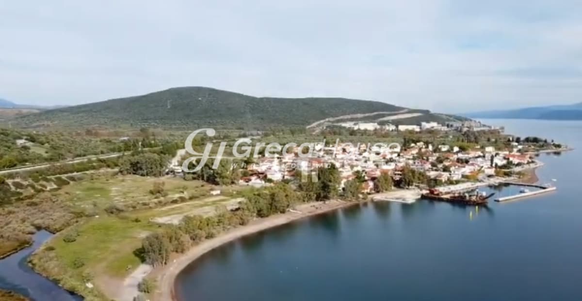 Beachfront Plot for Sale, 2,200 sq.m. in Achladi – 43m Frontage, Building Permit - Photo 10