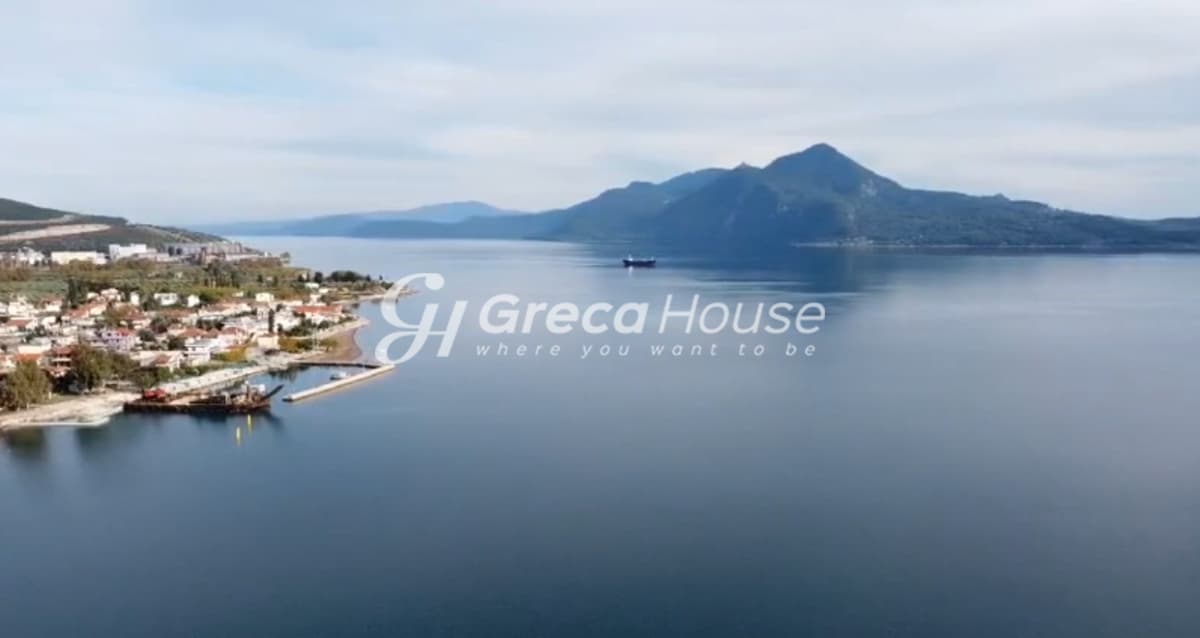 Beachfront Plot for Sale, 2,200 sq.m. in Achladi – 43m Frontage, Building Permit - Photo 1