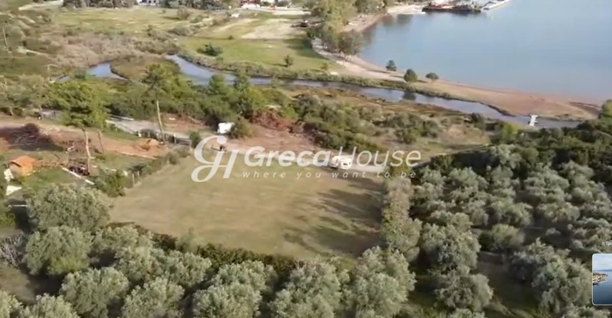 Beachfront Plot for Sale, 2,200 sq.m. in Achladi – 43m Frontage, Building Permit - Photo 7