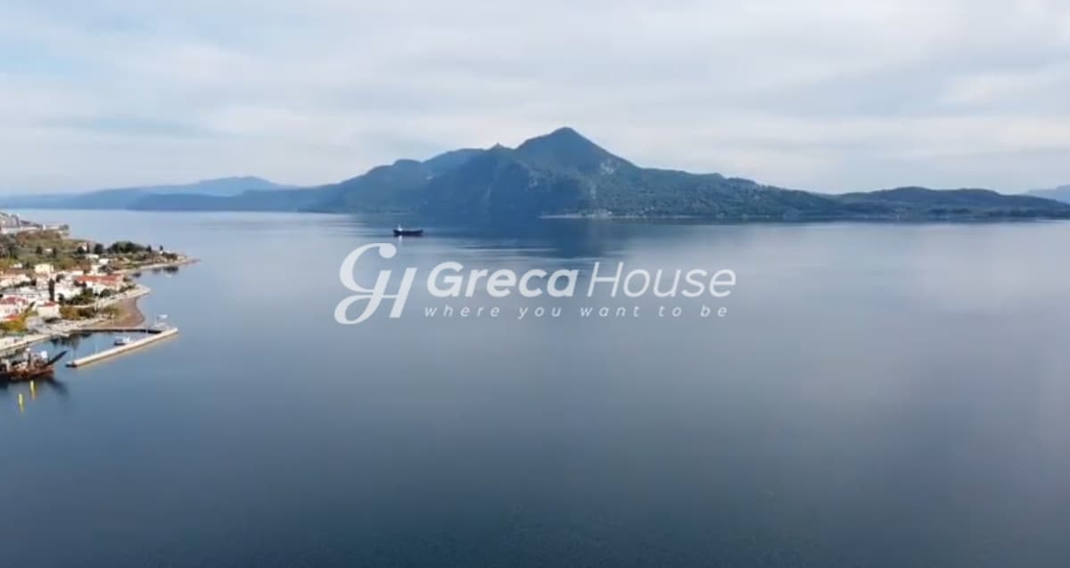 Beachfront Plot for Sale, 2,200 sq.m. in Achladi – 43m Frontage, Building Permit - Photo 6