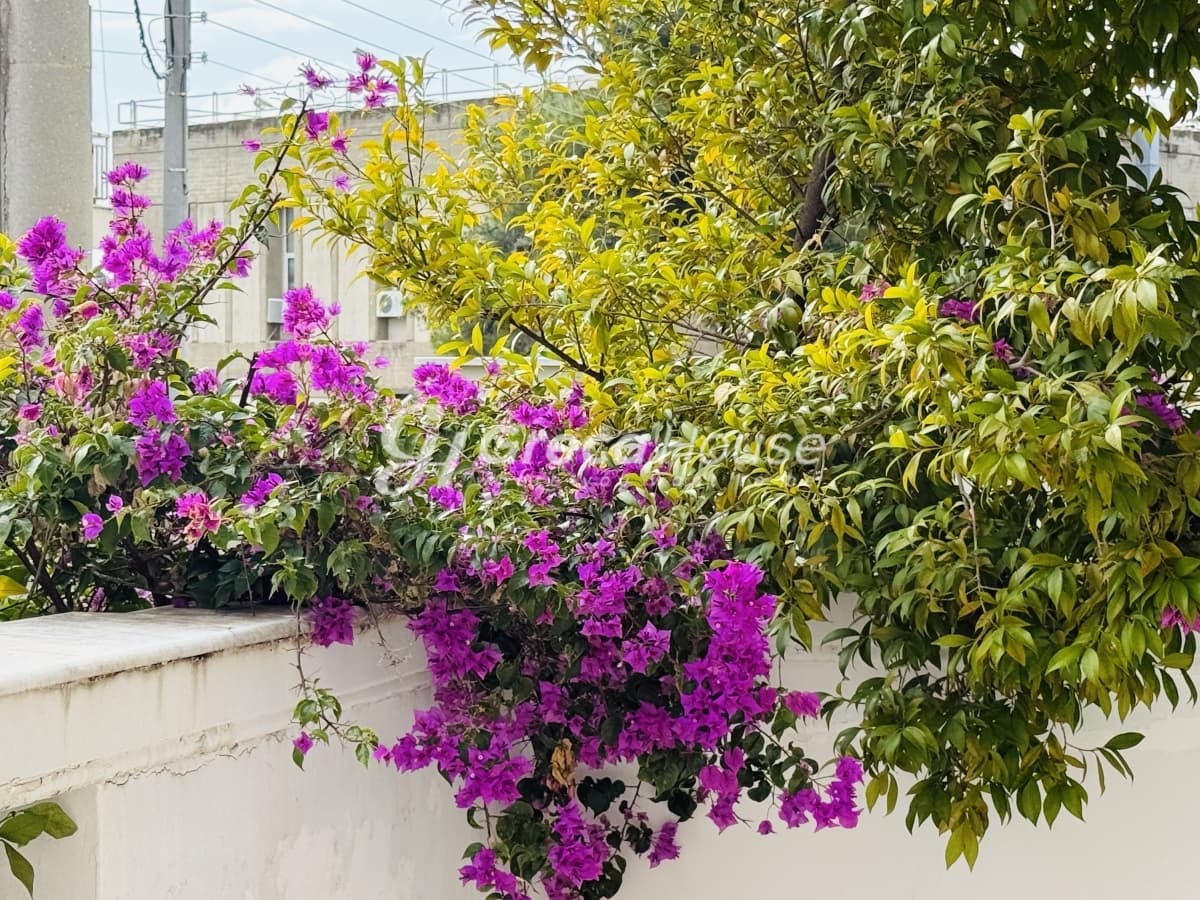 Luxury Detached House 422 sqm in Melissia-Vrilissia Border with Potential for 2-3 Residences - Photo 43