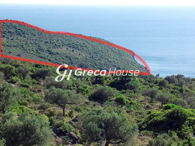 Εξαιρετικό Παραθαλάσσιο Οικόπεδο στη Δυτική Μάνη, Μεσσηνία – 318.000τ.μ. για Ανάπτυξη Πολυτελούς Θέρετρου - Φωτογραφία 5