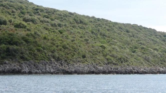 Εξαιρετικό Παραθαλάσσιο Οικόπεδο στη Δυτική Μάνη, Μεσσηνία – 318.000τ.μ. για Ανάπτυξη Πολυτελούς Θέρετρου - Φωτογραφία 39