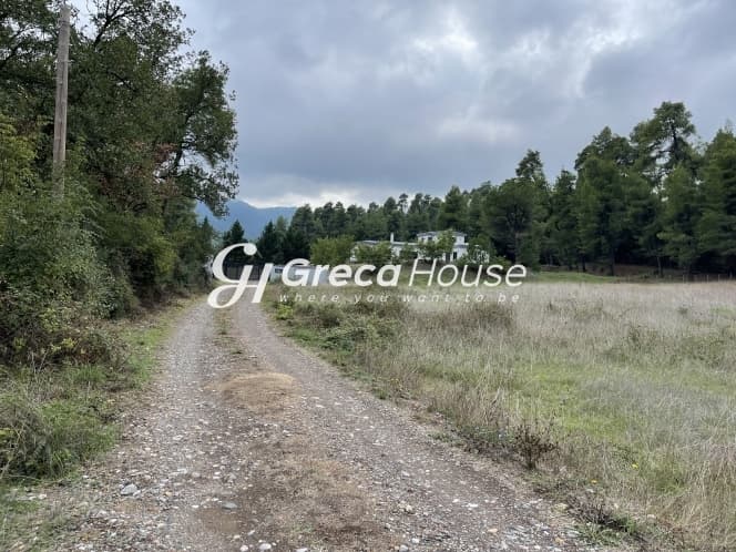Πολυτελής Βίλα 445 τ.μ. με Ιδιωτική Πισίνα και Πανοραμική Θέα στη Φύση – Κηρέως Ευβοίας - Φωτογραφία 5
