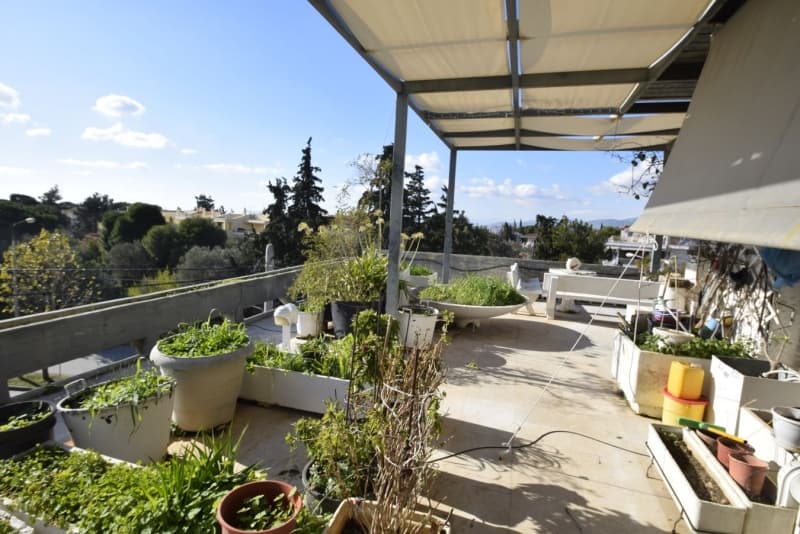 מזונט למכירה 250 מ"ר עם חלקת קרקע – קיפיסיה, מיקום מרכזי - תמונה 28