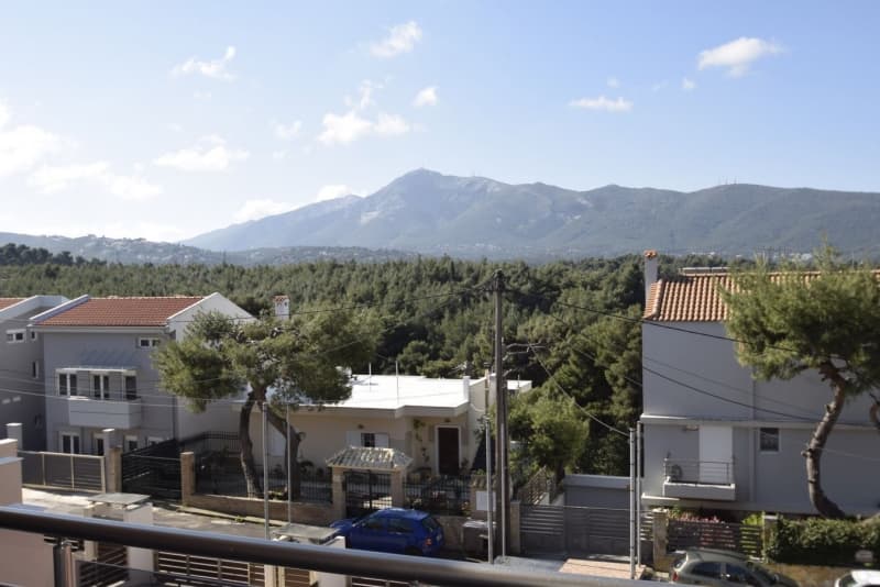 全新豪华复式住宅，带景观花园 – 雅典北部阿诺克西 - 张照片 22