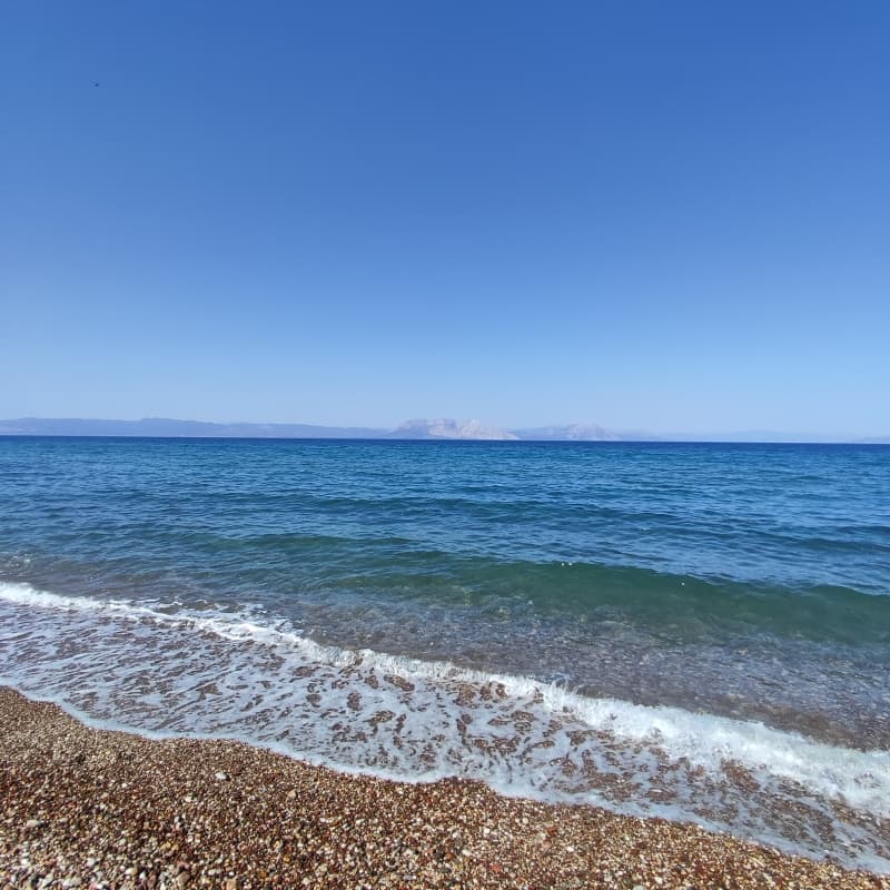 96,000 sq.m. Coastal Plot in Achaia – Ideal for Tourist Development or Villa Construction - Photo 2