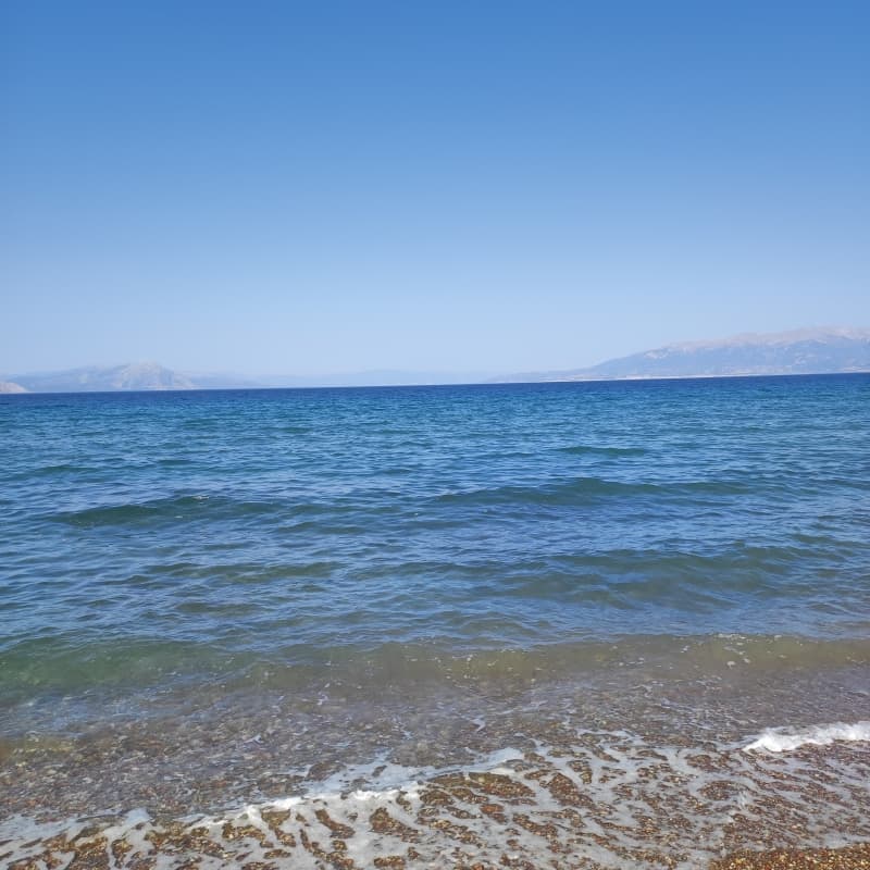 96,000 sq.m. Coastal Plot in Achaia – Ideal for Tourist Development or Villa Construction - Photo 18