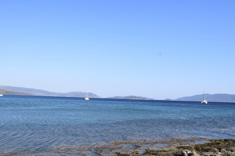 Εύβοια, Μαρμάρι: Οικόπεδο 31.000τ.μ. Παραθαλάσσιο για Πολυτελείς Βίλες ή Ξενοδοχείο - Φωτογραφία 33