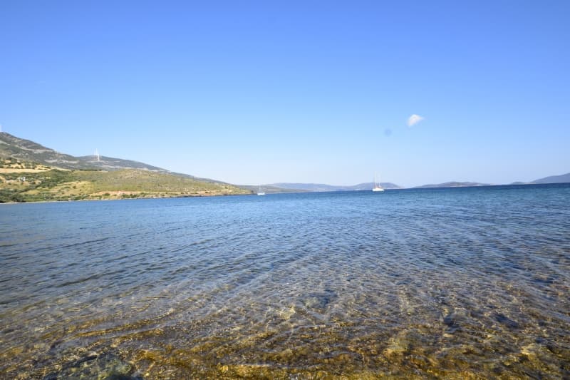 Εύβοια, Μαρμάρι: Οικόπεδο 31.000τ.μ. Παραθαλάσσιο για Πολυτελείς Βίλες ή Ξενοδοχείο - Φωτογραφία 35