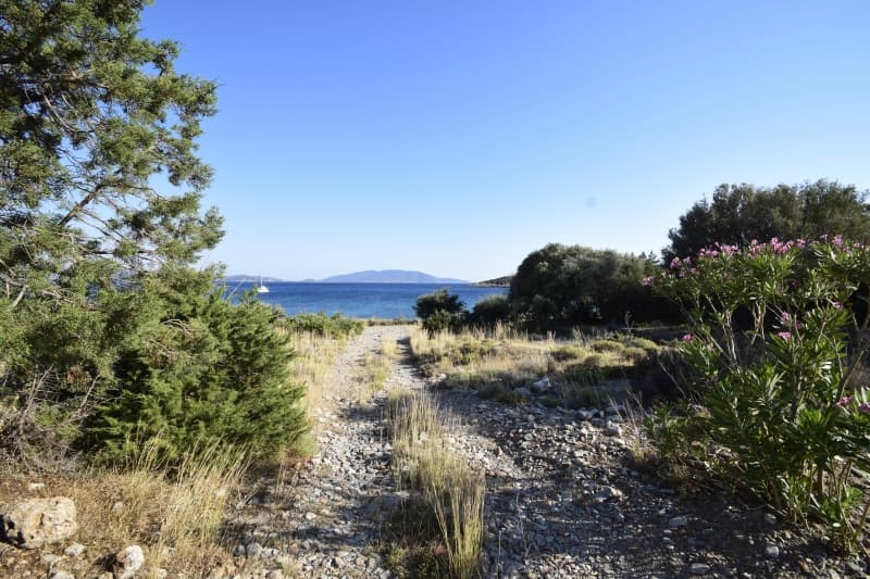 Εύβοια, Μαρμάρι: Οικόπεδο 31.000τ.μ. Παραθαλάσσιο για Πολυτελείς Βίλες ή Ξενοδοχείο - Φωτογραφία 5