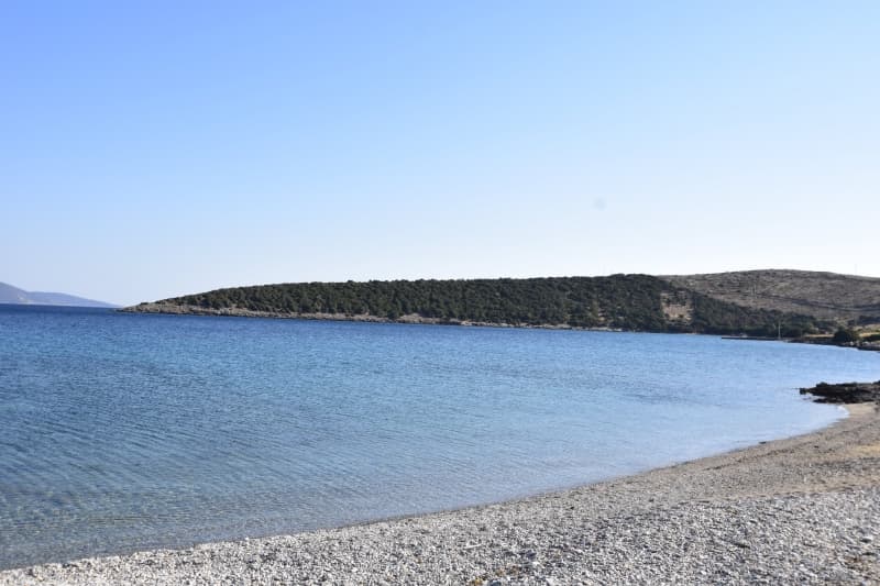 Εύβοια, Μαρμάρι: Οικόπεδο 31.000τ.μ. Παραθαλάσσιο για Πολυτελείς Βίλες ή Ξενοδοχείο - Φωτογραφία 9