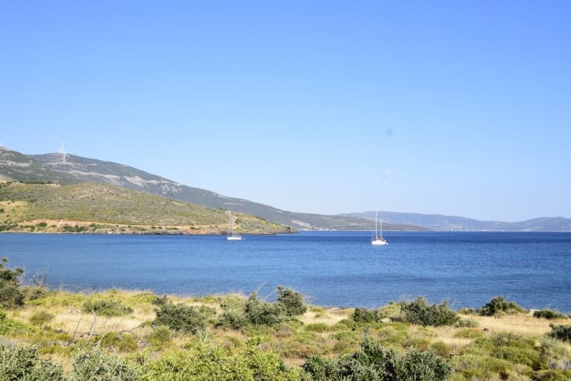 Εύβοια, Μαρμάρι: Οικόπεδο 31.000τ.μ. Παραθαλάσσιο για Πολυτελείς Βίλες ή Ξενοδοχείο - Φωτογραφία 34
