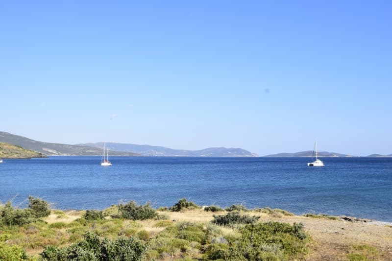 Εύβοια, Μαρμάρι: Οικόπεδο 31.000τ.μ. Παραθαλάσσιο για Πολυτελείς Βίλες ή Ξενοδοχείο - Φωτογραφία 15