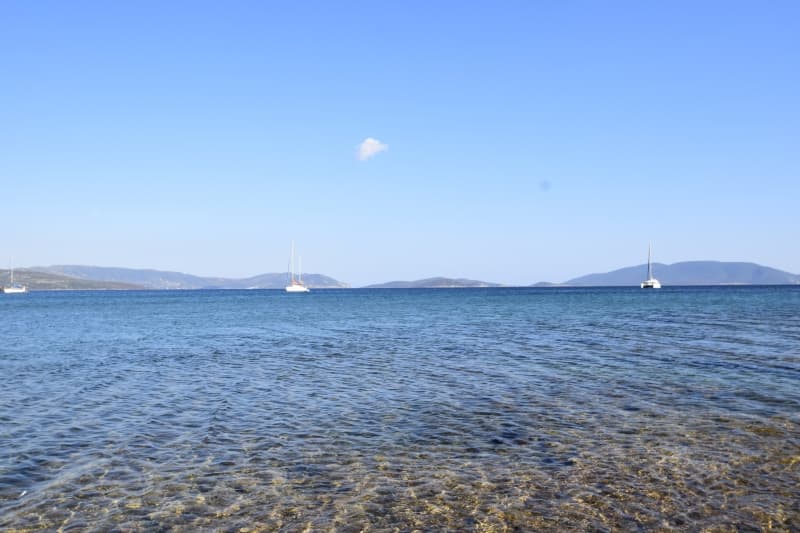Εύβοια, Μαρμάρι: Οικόπεδο 31.000τ.μ. Παραθαλάσσιο για Πολυτελείς Βίλες ή Ξενοδοχείο - Φωτογραφία 19