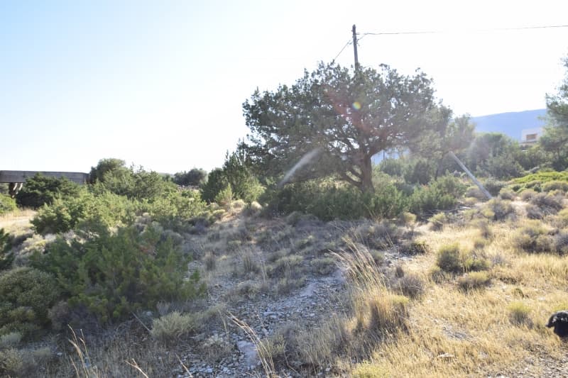 Εύβοια, Μαρμάρι: Οικόπεδο 31.000τ.μ. Παραθαλάσσιο για Πολυτελείς Βίλες ή Ξενοδοχείο - Φωτογραφία 21