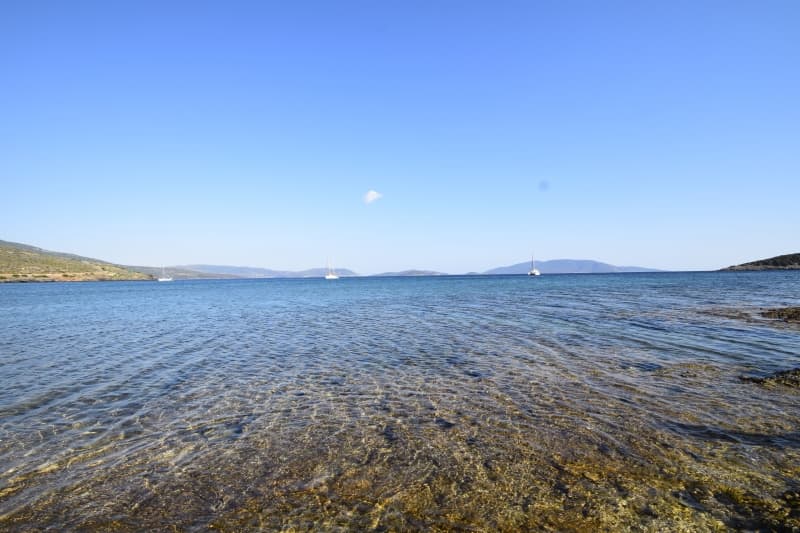 Εύβοια, Μαρμάρι: Οικόπεδο 31.000τ.μ. Παραθαλάσσιο για Πολυτελείς Βίλες ή Ξενοδοχείο - Φωτογραφία 6