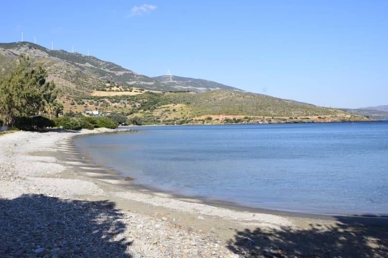 Εύβοια, Μαρμάρι: Οικόπεδο 31.000τ.μ. Παραθαλάσσιο για Πολυτελείς Βίλες ή Ξενοδοχείο - Φωτογραφία 7