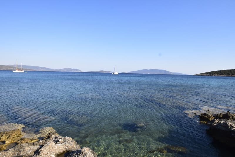 Εύβοια, Μαρμάρι: Οικόπεδο 31.000τ.μ. Παραθαλάσσιο για Πολυτελείς Βίλες ή Ξενοδοχείο - Φωτογραφία 22