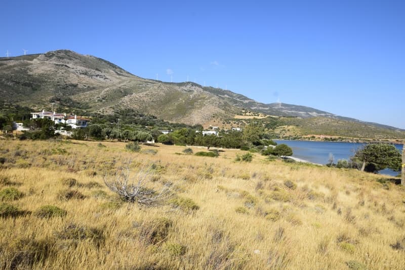 Εύβοια, Μαρμάρι: Οικόπεδο 31.000τ.μ. Παραθαλάσσιο για Πολυτελείς Βίλες ή Ξενοδοχείο - Φωτογραφία 12