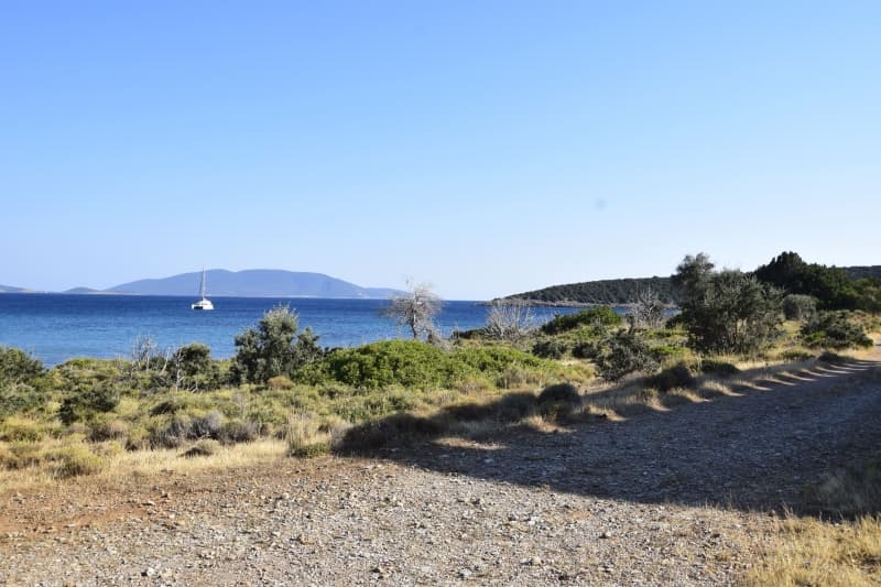 Εύβοια, Μαρμάρι: Οικόπεδο 31.000τ.μ. Παραθαλάσσιο για Πολυτελείς Βίλες ή Ξενοδοχείο - Φωτογραφία 30