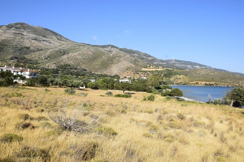 Εύβοια, Μαρμάρι: Οικόπεδο 31.000τ.μ. Παραθαλάσσιο για Πολυτελείς Βίλες ή Ξενοδοχείο - Φωτογραφία 8