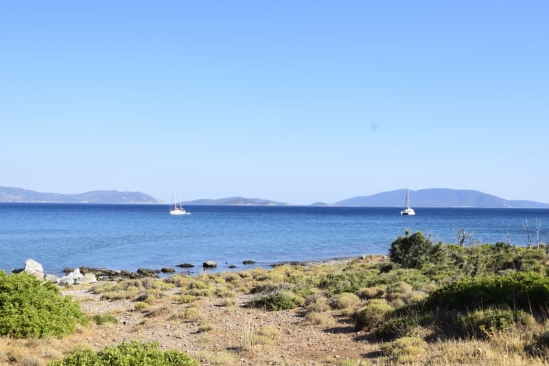 Εύβοια, Μαρμάρι: Οικόπεδο 31.000τ.μ. Παραθαλάσσιο για Πολυτελείς Βίλες ή Ξενοδοχείο - Φωτογραφία 31