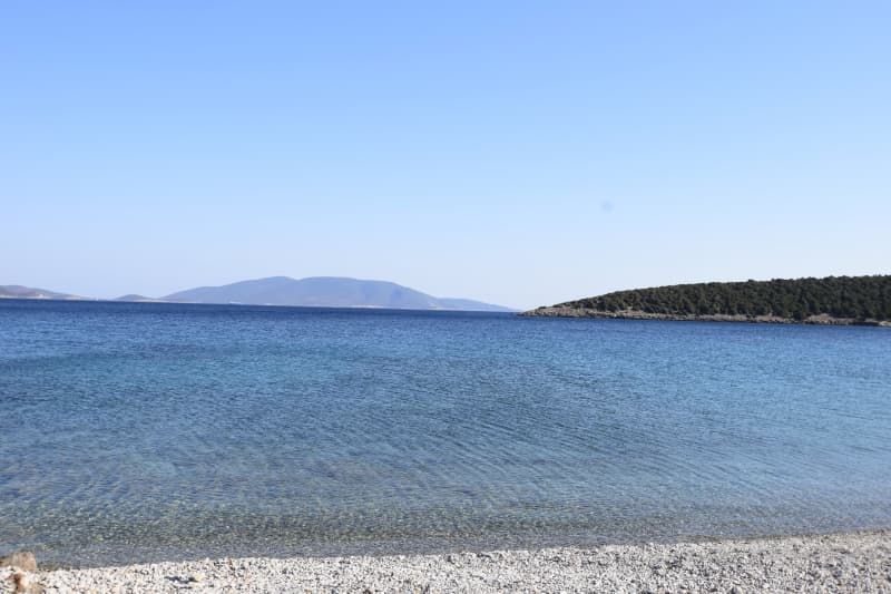 Εύβοια, Μαρμάρι: Οικόπεδο 31.000τ.μ. Παραθαλάσσιο για Πολυτελείς Βίλες ή Ξενοδοχείο - Φωτογραφία 36