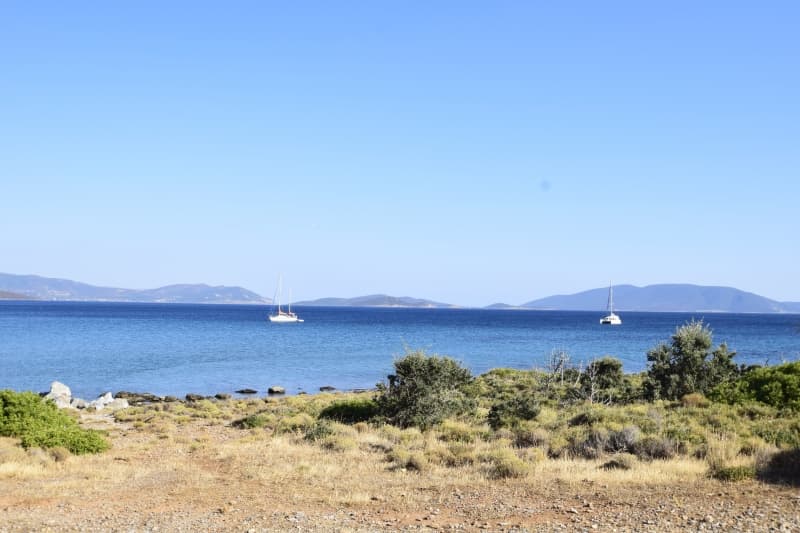 Εύβοια, Μαρμάρι: Οικόπεδο 31.000τ.μ. Παραθαλάσσιο για Πολυτελείς Βίλες ή Ξενοδοχείο - Φωτογραφία 1