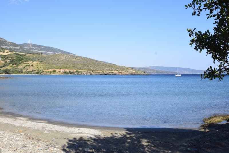 Εύβοια, Μαρμάρι: Οικόπεδο 31.000τ.μ. Παραθαλάσσιο για Πολυτελείς Βίλες ή Ξενοδοχείο - Φωτογραφία 2