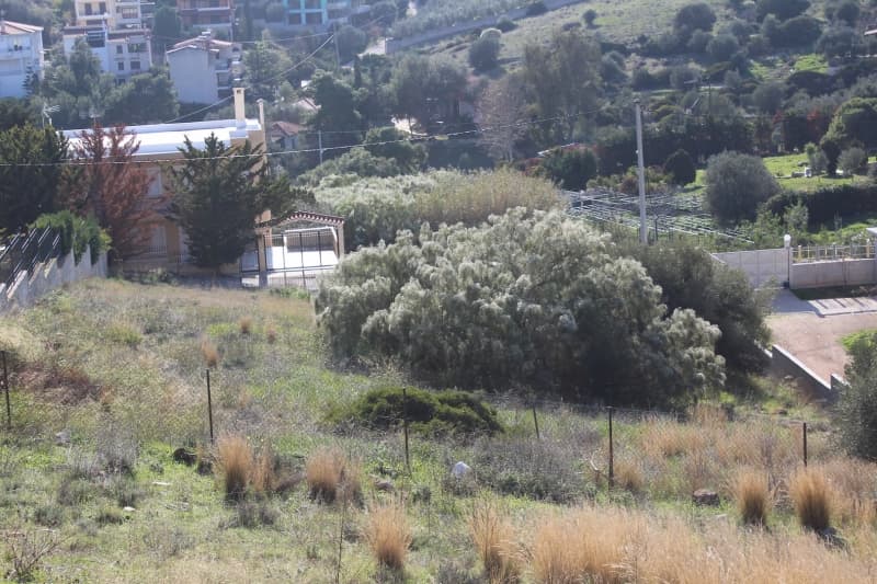 חלקה 1350 מ\"ר יוקרתית לבנייה באנאביסוס, אטיקה - תמונה 3
