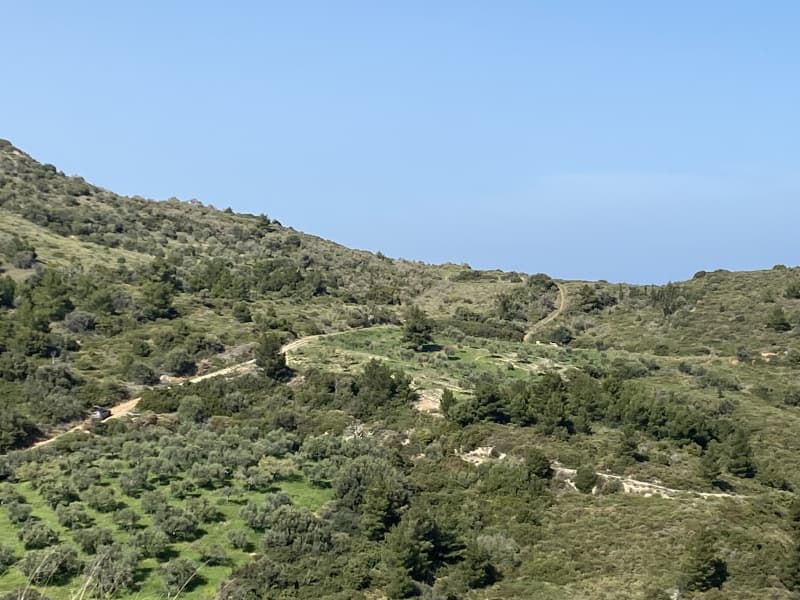 Απαράμιλλη Επένδυση: 240.000τ.μ. Οικόπεδο με Θέα Θάλασσα στην Κύμη-Οξύλιθο, Εύβοια - Φωτογραφία 34
