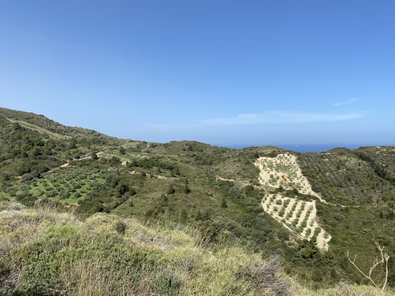 Απαράμιλλη Επένδυση: 240.000τ.μ. Οικόπεδο με Θέα Θάλασσα στην Κύμη-Οξύλιθο, Εύβοια - Φωτογραφία 28