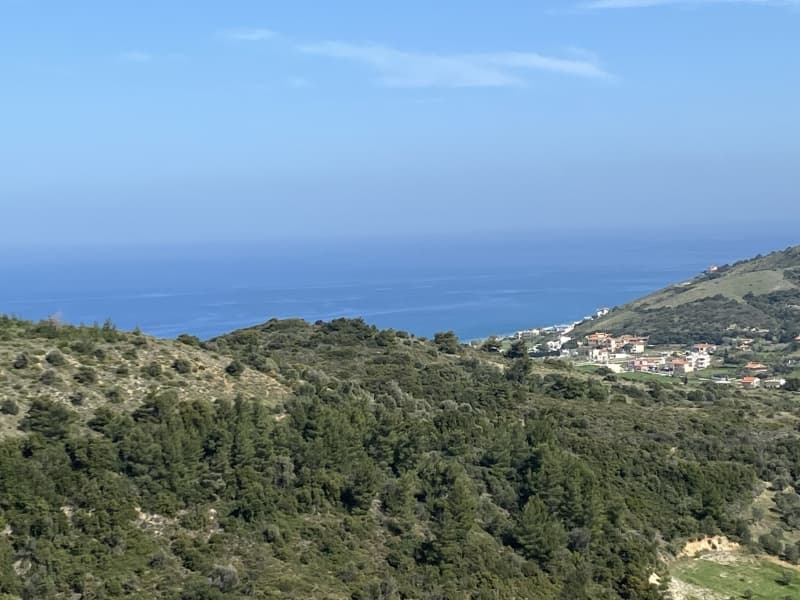 Απαράμιλλη Επένδυση: 240.000τ.μ. Οικόπεδο με Θέα Θάλασσα στην Κύμη-Οξύλιθο, Εύβοια - Φωτογραφία 33