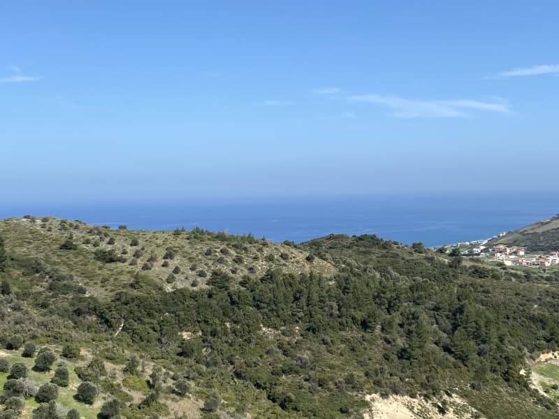 Απαράμιλλη Επένδυση: 240.000τ.μ. Οικόπεδο με Θέα Θάλασσα στην Κύμη-Οξύλιθο, Εύβοια - Φωτογραφία 9