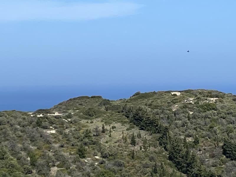 Απαράμιλλη Επένδυση: 240.000τ.μ. Οικόπεδο με Θέα Θάλασσα στην Κύμη-Οξύλιθο, Εύβοια - Φωτογραφία 11
