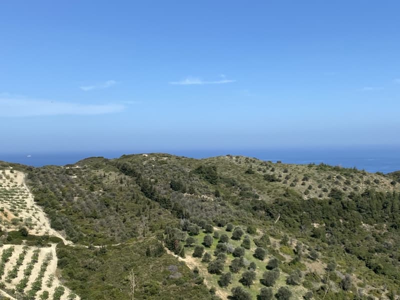 Απαράμιλλη Επένδυση: 240.000τ.μ. Οικόπεδο με Θέα Θάλασσα στην Κύμη-Οξύλιθο, Εύβοια - Φωτογραφία 18