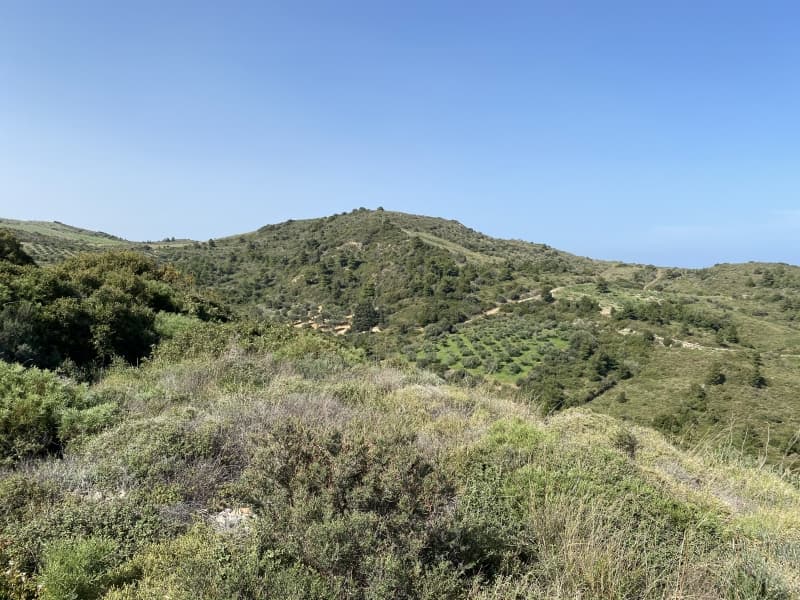 Απαράμιλλη Επένδυση: 240.000τ.μ. Οικόπεδο με Θέα Θάλασσα στην Κύμη-Οξύλιθο, Εύβοια - Φωτογραφία 26