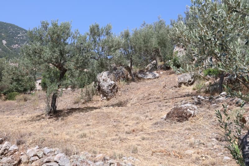 למכירה מגרש 4,300 מ"ר באפידאורוס העתיקה – נוף לים, השקעה, ניתן לבנייה - תמונה 9