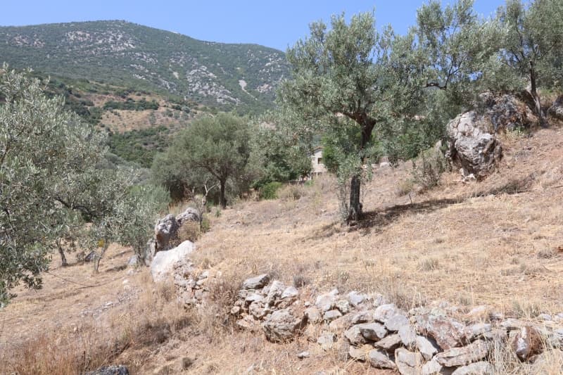 למכירה מגרש 4,300 מ"ר באפידאורוס העתיקה – נוף לים, השקעה, ניתן לבנייה - תמונה 12