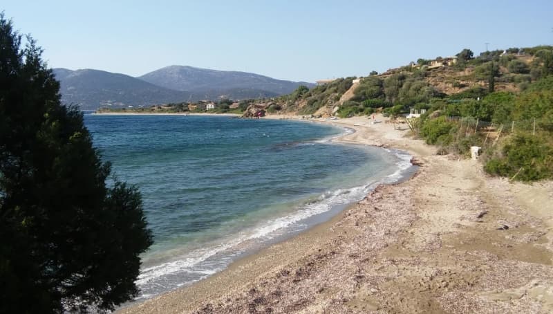 Οικοδομήσιμο Παραθαλάσσιο Οικόπεδο 21.000 τ.μ. με Διώροφη Κατοικία στα Στύρα – Επενδυτική Ευκαιρία - Φωτογραφία 1