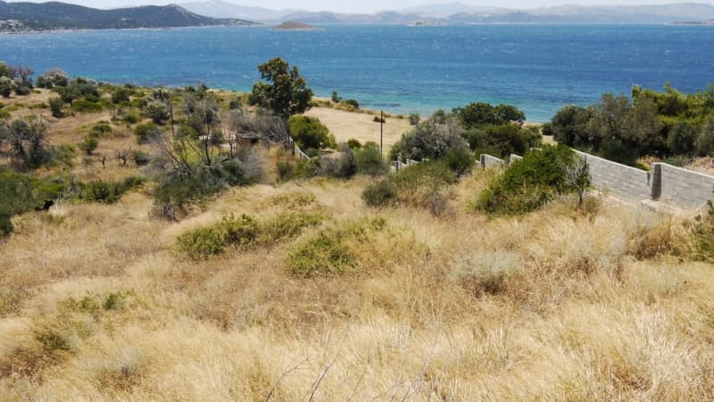 Οικοδομήσιμο Παραθαλάσσιο Οικόπεδο 21.000 τ.μ. με Διώροφη Κατοικία στα Στύρα – Επενδυτική Ευκαιρία - Φωτογραφία 7
