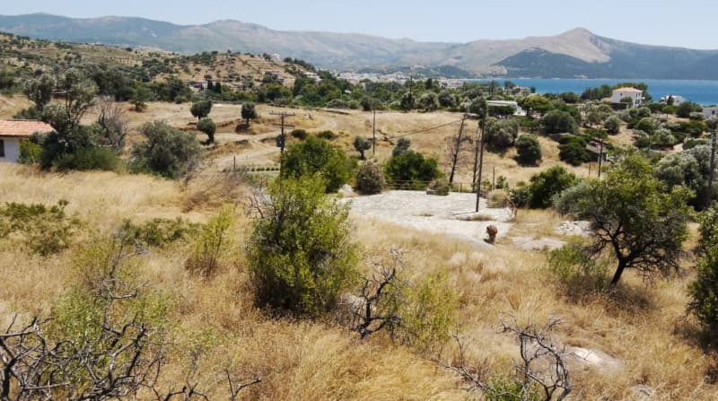 Οικοδομήσιμο Παραθαλάσσιο Οικόπεδο 21.000 τ.μ. με Διώροφη Κατοικία στα Στύρα – Επενδυτική Ευκαιρία - Φωτογραφία 11