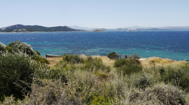 Οικοδομήσιμο Παραθαλάσσιο Οικόπεδο 21.000 τ.μ. με Διώροφη Κατοικία στα Στύρα – Επενδυτική Ευκαιρία - Φωτογραφία 2
