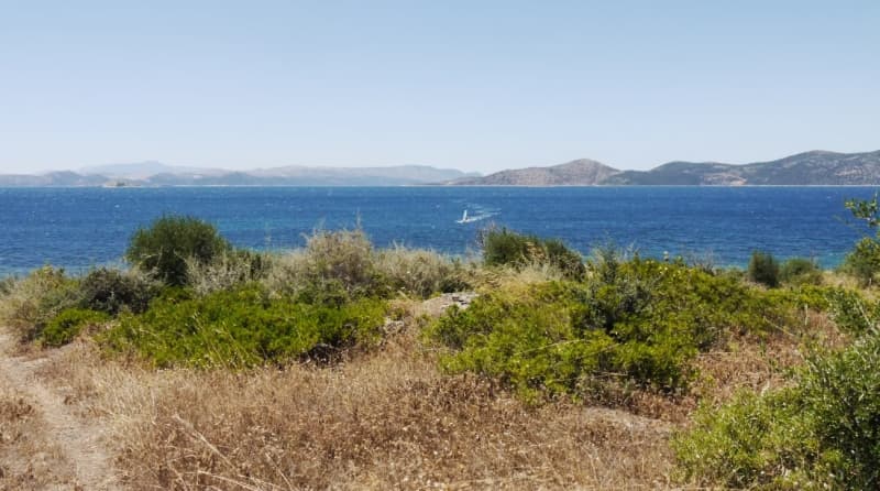 Οικοδομήσιμο Παραθαλάσσιο Οικόπεδο 21.000 τ.μ. με Διώροφη Κατοικία στα Στύρα – Επενδυτική Ευκαιρία - Φωτογραφία 10