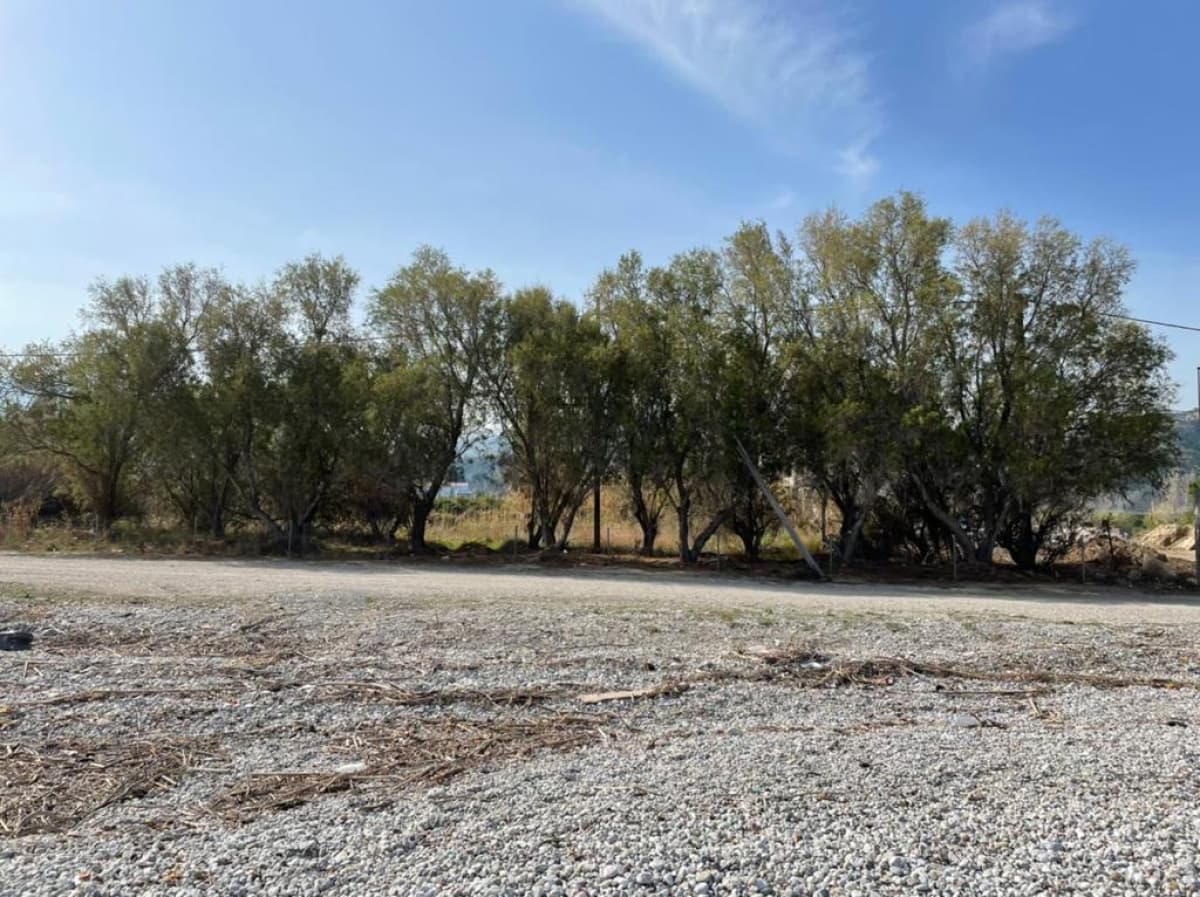 Παραθαλάσσιο οικόπεδο 4.160 τ.μ. στην Ποροβίτσα Ακράτας, 10 μ. από τη θάλασσα - Φωτογραφία 16