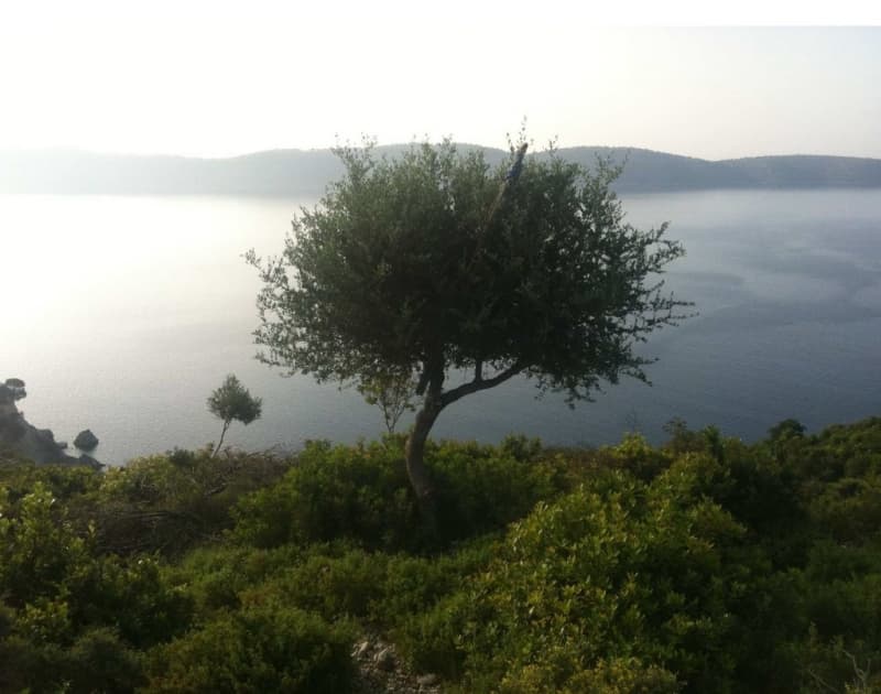 Kalamos, Lefkada: Buildable Land 150,000 sqm for 5-Star Tourist Unit - Photo 13